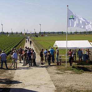 Zo'n 300 belangstellenden bezochten in de nazomerse warmte de Biologische Velddag op de Broekemahoeve in Lelystad.