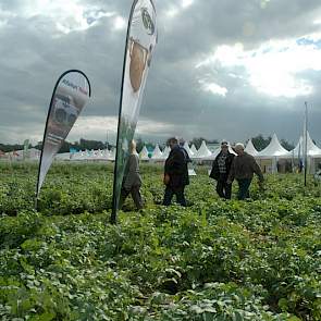 Buiten zijn proefveldjes van aardappelrassen aangelegd. Bedrijven die actief zijn in de akkerbouw presenteren zich in de tenten.