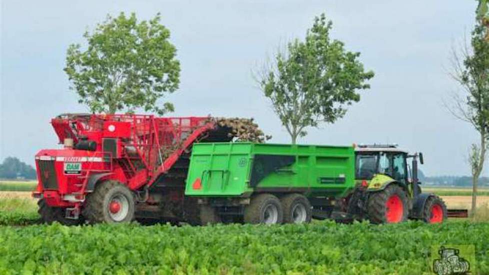 Loonbedrijf Dam uit Wehe den Hoorn aan het bietenrooien met een Vervaet 17 Tonner bunkerrooier.