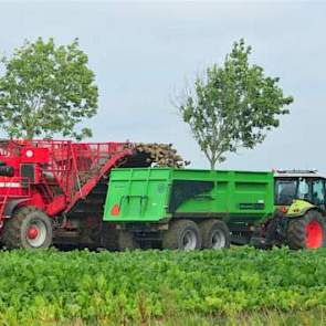 Loonbedrijf Dam uit Wehe den Hoorn aan het bietenrooien met een Vervaet 17 Tonner bunkerrooier.