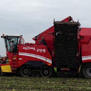 Bij akkerbouwer Harry Schreuder uit Swifterbant zijn vorige week de eerste bieten gerooid. Vrijdag en zaterdag rooide loonbedrijf Vedelaar uit Nagele de bieten.