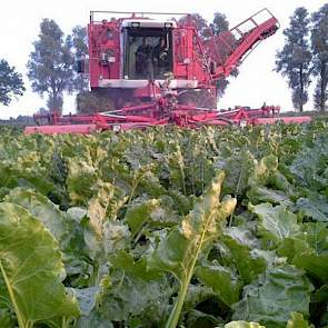 Kees Damen van loonbedrijf Damen uit Terheijden rooit suikerbieten. Dit gebeurt met een Agrifac Hexa.