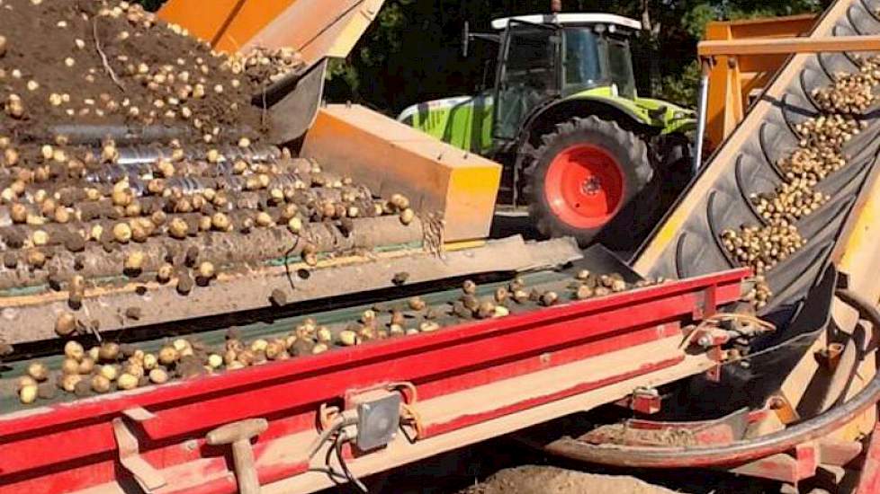 Aardappelen rooien bij Wout Lugtenberg in Geervliet. ‘Toch weer 20 ton kriel uit de sorteergrond gedraaid’, twittert de akkerbouwer.