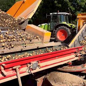 Aardappelen rooien bij Wout Lugtenberg in Geervliet. ‘Toch weer 20 ton kriel uit de sorteergrond gedraaid’, twittert de akkerbouwer.