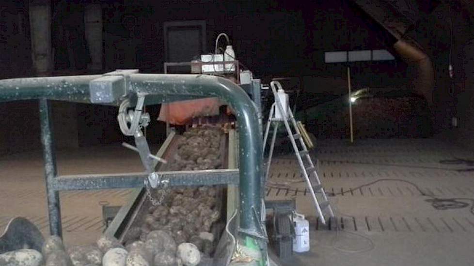 Aardappelen inschuren bij Michiel van Andel in Emmeloord. Het gaat om Innovators. ‘Het is al weer droog zat om te rooien.’