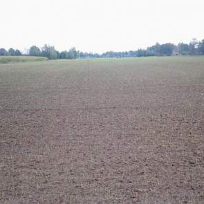 De wintergerst van Henk Wansink staat er goed op na 60 mm in 3 dagen, vindt de akkerbouwer uit Laren (Gld.).