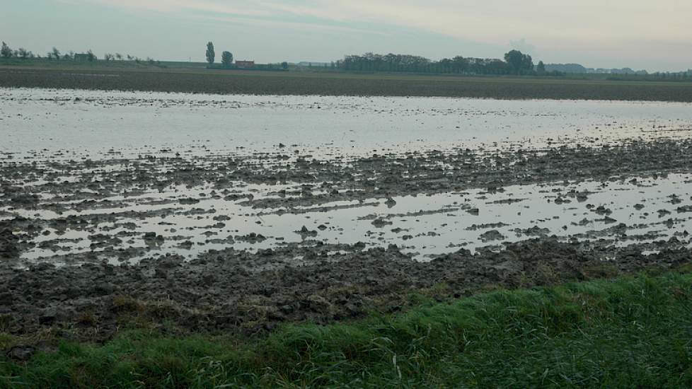 Bij Kats op Noord-Beveland liggen grote plassen water op het land. Ook deze aardappelen waren tijdig gerooid.