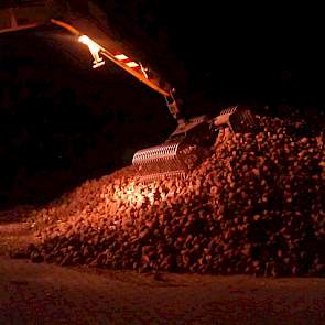 Bijna alle suikerbieten zijn inmiddels gerooid. Enkele honderden hectares zitten nog in de grond. Suiker Unie verwacht de campagne over een maand af te sluiten.