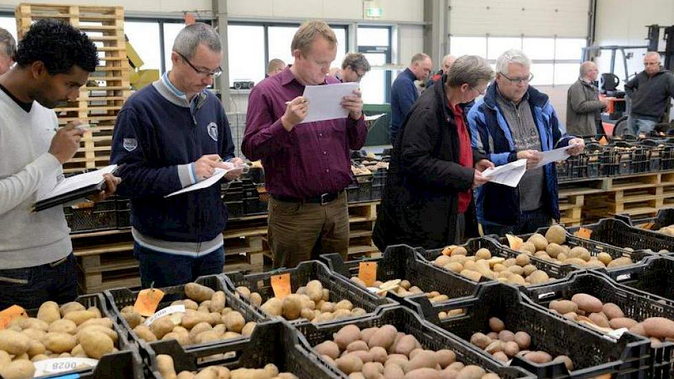 De leden van AKV Midden-Nederland kwamen onlangs samen in Emmeloord, waar de kwekers elkaars rassen konden bekijken en beoordelen.