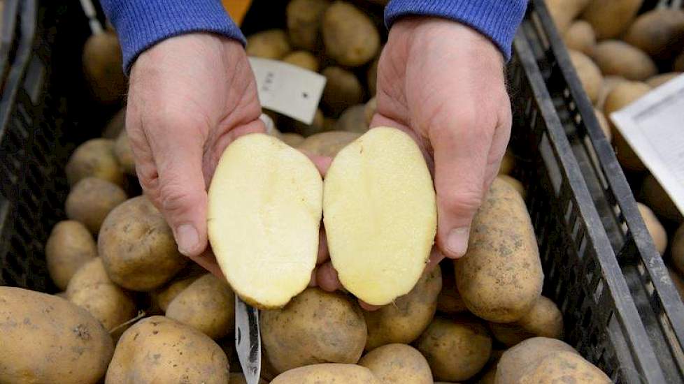 Het delen van informatie staat hoog in het vaandel bij AKV Midden-Nederland.