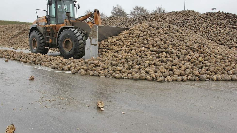 Een shovel schuift de eerder gestorte bieten naar de bunkers.