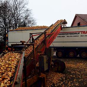 ... totdat het begint te regenen. Als de derde vrachtwagen klaar staat, moeten ze stoppen, omdat het te hard regent. Afnemer Marbo Onions wil niet dat de uien te nat worden.