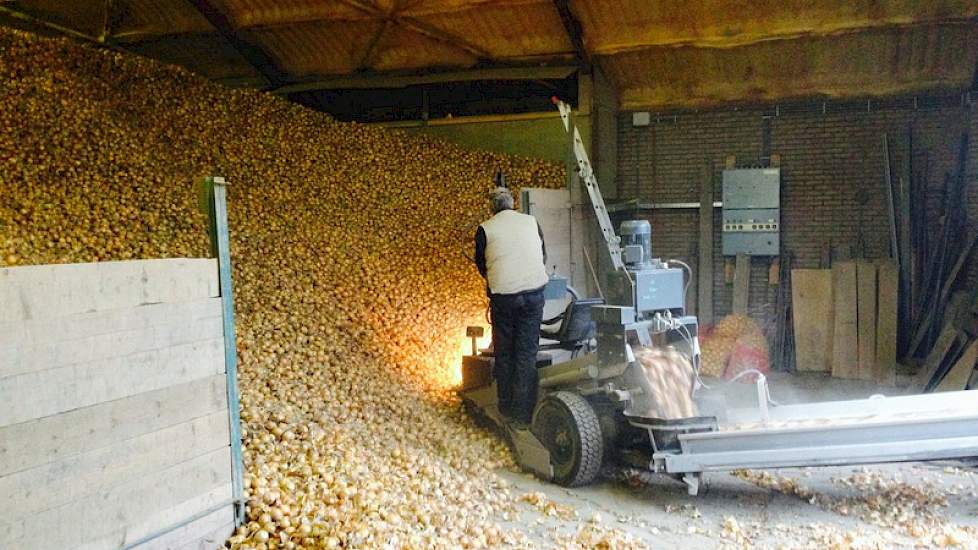 Schreuder teelt jaarlijks 7 tot 9 hectare uien. Hiervan slaat hij 5 hectare zelf op. Deze uien worden verkocht in een pool. De uien van de overige hectares verkoopt hij na oogst af land.