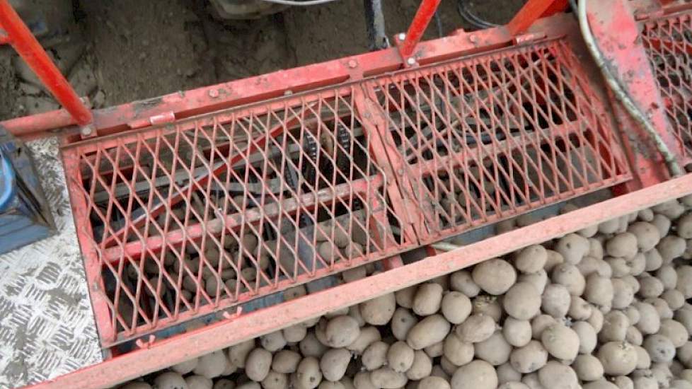 Goedegebuure plant Doré’s, bij Moerland gaan Doré’s en Frieslanders de grond in.