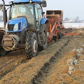 De oogst loopt van half juni tot eind april. ‘Zo kunnen we elke dag vers product leveren’, zegt In ’t Zandt. Op deze archieffoto de oogst van wortelen bij VersePeen in januari vorig jaar.