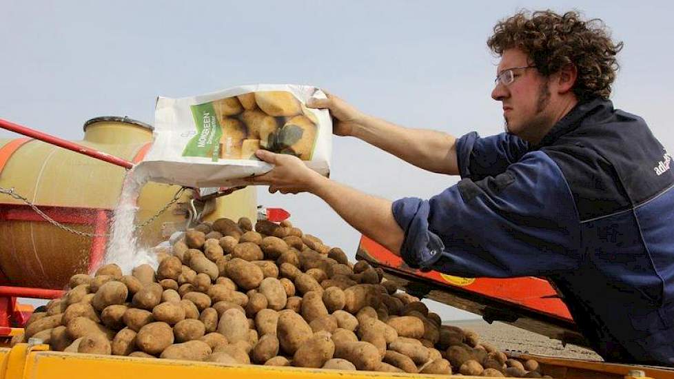 De Lange strooit een laag Moncereen over de aardappelen.