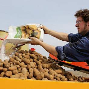 De Lange strooit een laag Moncereen over de aardappelen.