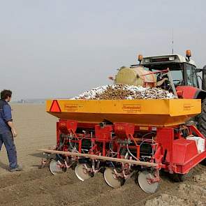 De eerste aardappelruggen worden gevormd.