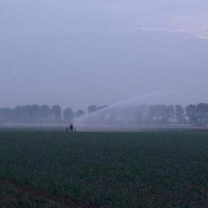 Ook in de omgeving van Dordrecht is het droog. ‘De plantuien een slokje water geven vannacht’, zegt Joost van der Eijk.