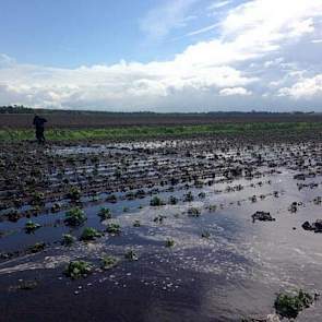 Genoeg water hier, zegt akkerbouwer Remco Kruit uit Sellingen.