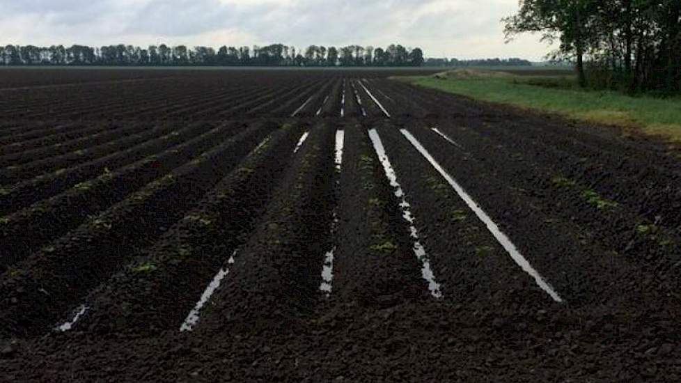 ‘De kopakker laat de matige structuur al goed zien na een dikke plensbui', twittert Blitterswijk Agro uit Biddinghuizen.