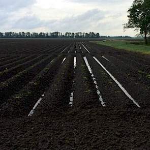 ‘De kopakker laat de matige structuur al goed zien na een dikke plensbui', twittert Blitterswijk Agro uit Biddinghuizen.