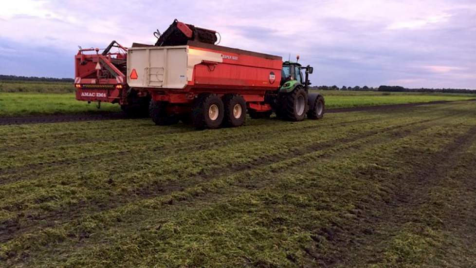 Siebring schat in dat van de 3,1 hectare zo’n 0,3 hectare verloren is gegaan na de zware regenbuien van eind mei.