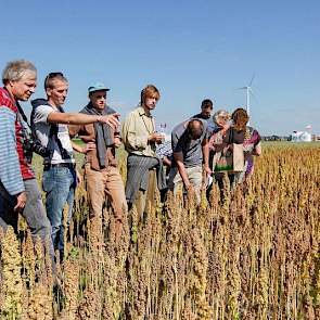 Op het demoveld lag onder meer een proef met twee soorten biologische quinoa.