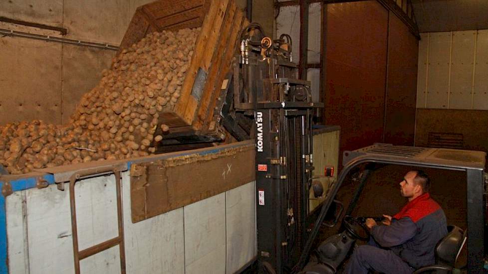 Hij stort de kist leeg in de bunker van de sorteerlijn.