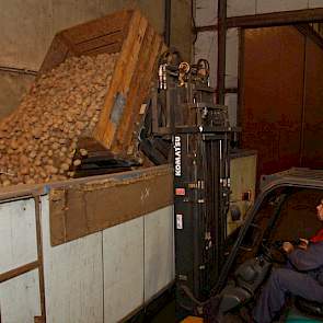 Hij stort de kist leeg in de bunker van de sorteerlijn.