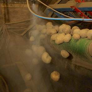 De aardappelen krijgen voor het sorteren een stofdouche, die er voor zorgt dat het stof bindt aan de knol. ‘Dit voorkomt veel stof in de sorteerruimte. Zeker degene die in de schuur aan het werk is, heeft er anders veel last van’, zegt de akkerbouwer.