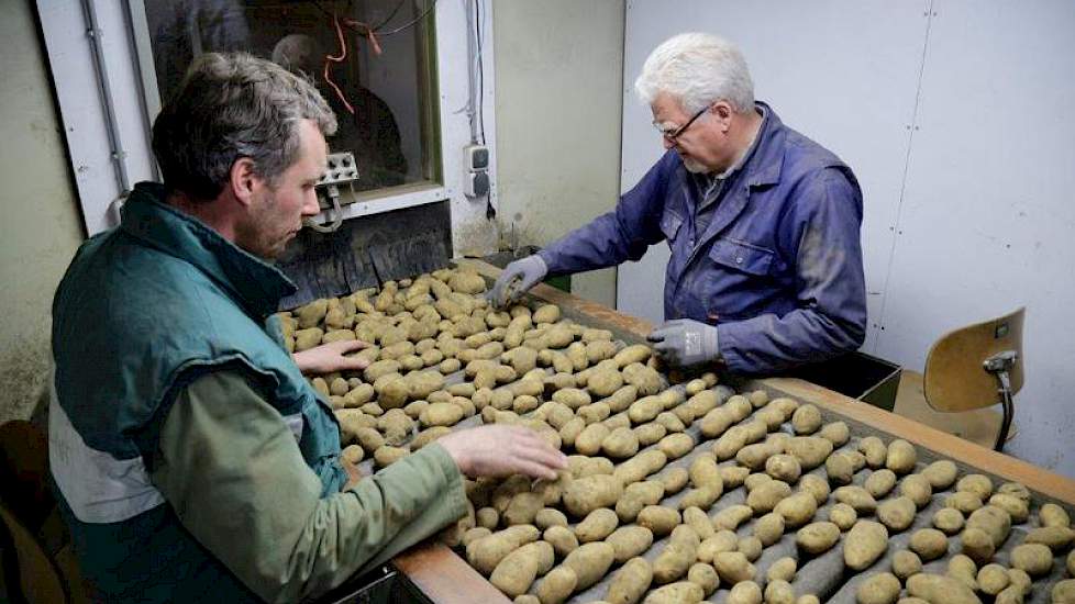 In het leeshok staan Timo van den Heuvel en medewerker Ype Fokkens. Akkerbouwer Van den Heuvel is tevreden over de kwaliteit van zijn pootaardappelen.  „Alleen een beetje rooibeschadiging en wat kluiten”, zegt Timo, die in maatschap met zijn moeder de boe