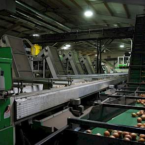 Met de optische sorteerder spaart Wiskerke 5 man personeel uit. „Arbeidskosten zijn hoog, dat maakt dat we de machine op redelijk korte termijn hebben terugverdiend”, aldus salesmanager Chayenne Wiskerke.