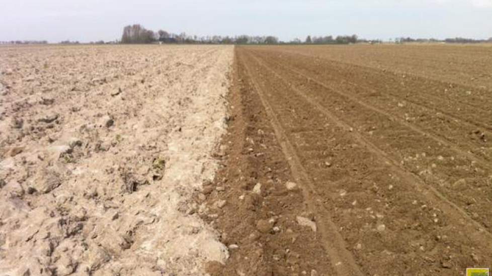 ‘De grond ligt er mooi bij. Nu de temperatuur nog wat omhoog’, zegt Kor Berghuis.