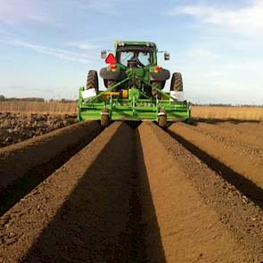 Berghuis teelt in totaal 35 hectare pootgoed.