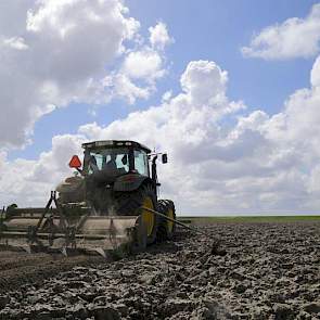 De teelt van stammen en miniknollen brengt wel meer werk met zich mee. ‘Maar we kunnen de aardappelteelt nu wel beter sturen.’