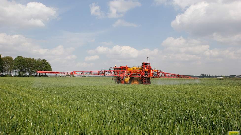 De schimmelbehandeling voorkomt bladschade en lagere productie en helpt ook de vorming van mycotoxinen te voorkomen.