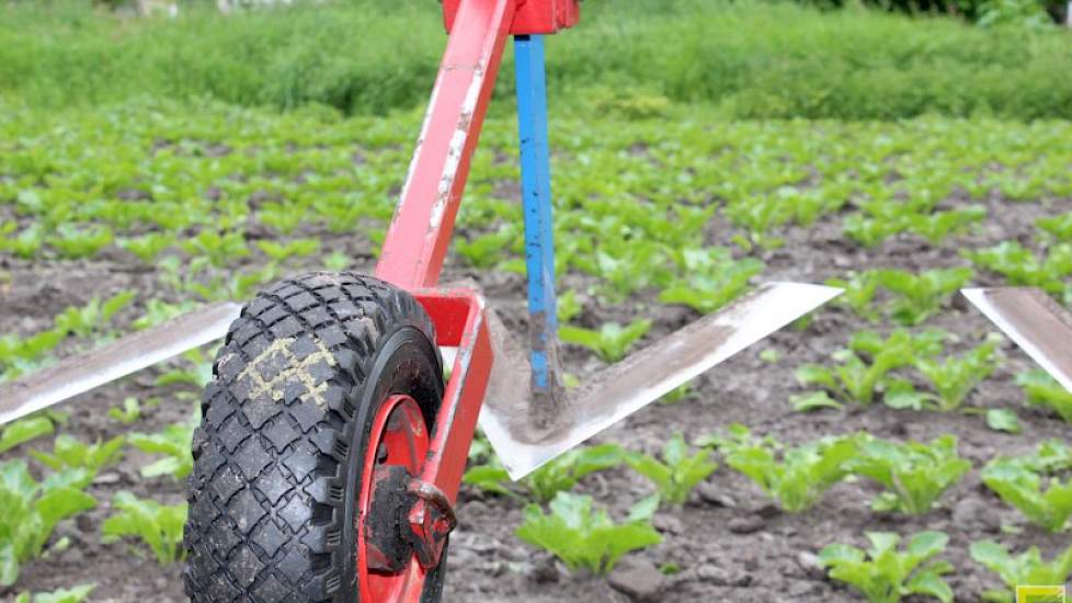 ‘Bieten schoffelen met behulp van GPS, een verademing voor boer en zijn biet’, aldus Hoiting.