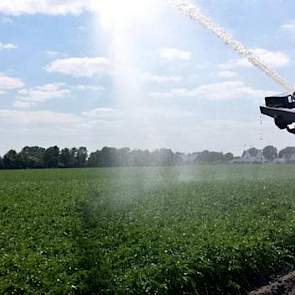 Met twee haspels aan het draaien in de aardappelen, zegt Twan van der Heijden. ‘Het is droog in Zuidoost-Brabant’, aldus de akkerbouwer uit Soerendonk.