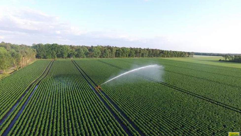 Ook bij Jacob van den Borne uit Reusel draaien de haspels weer op volle toeren. ‘Het wordt al weer aardig droog.’