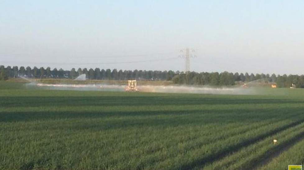 De droogte blijft aanhouden, zegt Rinus van Rossum, product manager bij Van Iperen. ‘Vocht is voor de knolzetting van aardappelen cruciaal! En zeker ook voor de plantuien.’