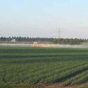 De droogte blijft aanhouden, zegt Rinus van Rossum, product manager bij Van Iperen. ‘Vocht is voor de knolzetting van aardappelen cruciaal! En zeker ook voor de plantuien.’