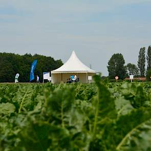 Nieuw in het programma dit jaar is het Bietenplein waar alle actualiteiten rondom de teelt van suikerbieten worden getoond.