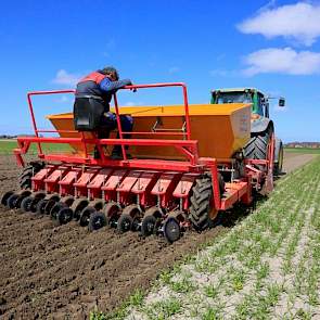 De Koningsplanter heeft een werkbreedte van drie meter. Daardoor kan de akkerbouwer de plantmachine achter de bouwvoorlichter en de rotorkopeg koppelen, zodat hij in één werkgang kan werken. Dat beperkt structuurbederf van de bodem. Vanuit dat oogpunt koo