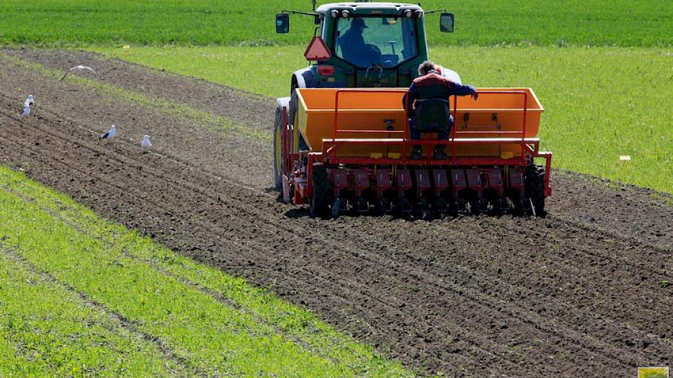 Medio april pootte Vermue zijn miniknollen en zijn pootgoed, twee weken later was het de beurt aan de aardappelen voor het vanggewas.