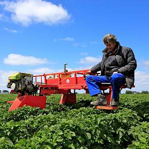 Koos Vermue heeft samen met zijn partner Ina Kolhorn en zijn broer Wim een akkerbouwbedrijf. In maatschapverband telen zij 85 hectare met pootaardappelen, graan, uien en suikerbieten in het bouwplan. Aardappelen telen ze 1 op 3.