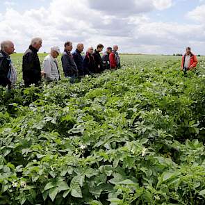 In het noorden hebben de gewassen minder last van de droogte gehad. Jarke Kruize meldt dat in het zuidwesten de stand minder goed is. „Een vroeg ras valt daar bijna om”, zag hij vorige week.