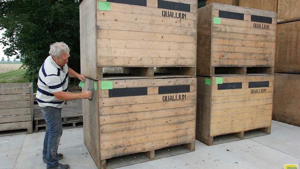 Gerard van Dun niet de briefjes met de juiste cultivarnamen op de kuubskisten met bollen.