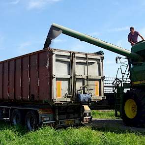 Het zaad is direct na de oogst afgevoerd met vrachtwagens.