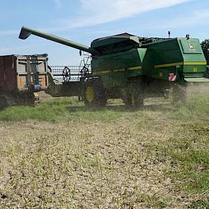 Klein heeft nog geen uitslag van de opbrengst, maar hij schat in dat hij 4 tot 4,5 ton per hectare heeft geoogst.